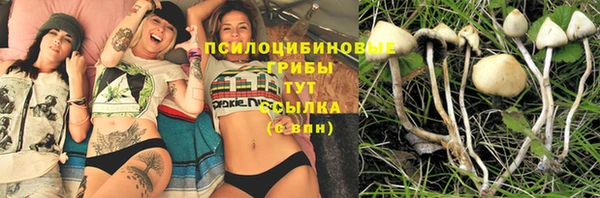 гашик Магас