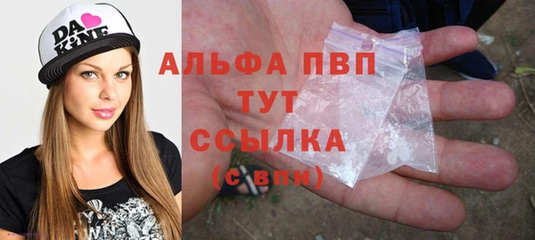 гашик Магас