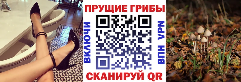 даркнет сайт  Прокопьевск  Псилоцибиновые грибы MAGIC MUSHROOMS 