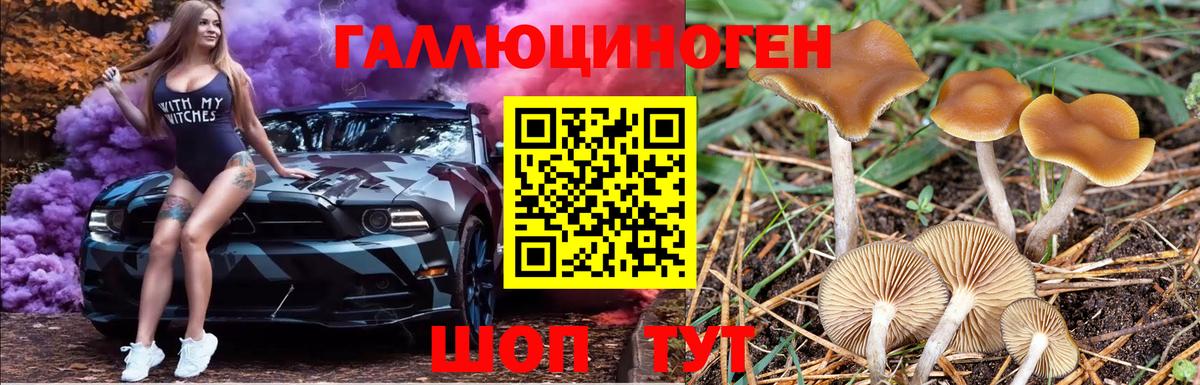 Прокопьевск  где купить наркотик  Вход с VPN  Псилоцибиновые грибы MAGIC MUSHROOMS 
