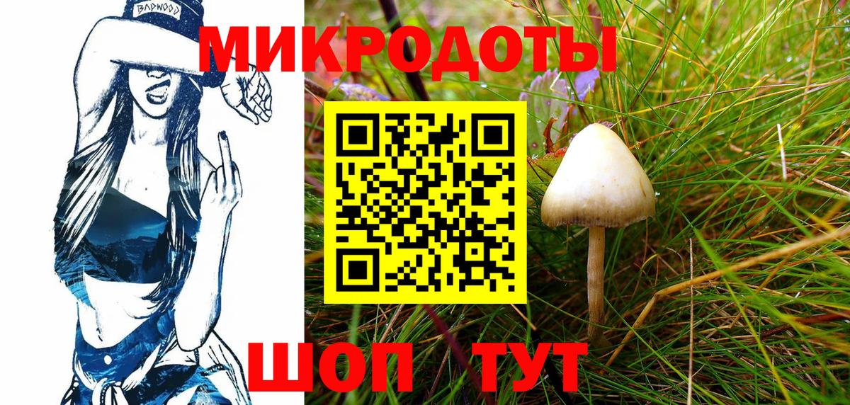 Псилоцибиновые грибы мицелий Прокопьевск
